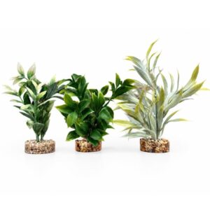 Rosewood Fiesta Ruscus 15590: Random colour