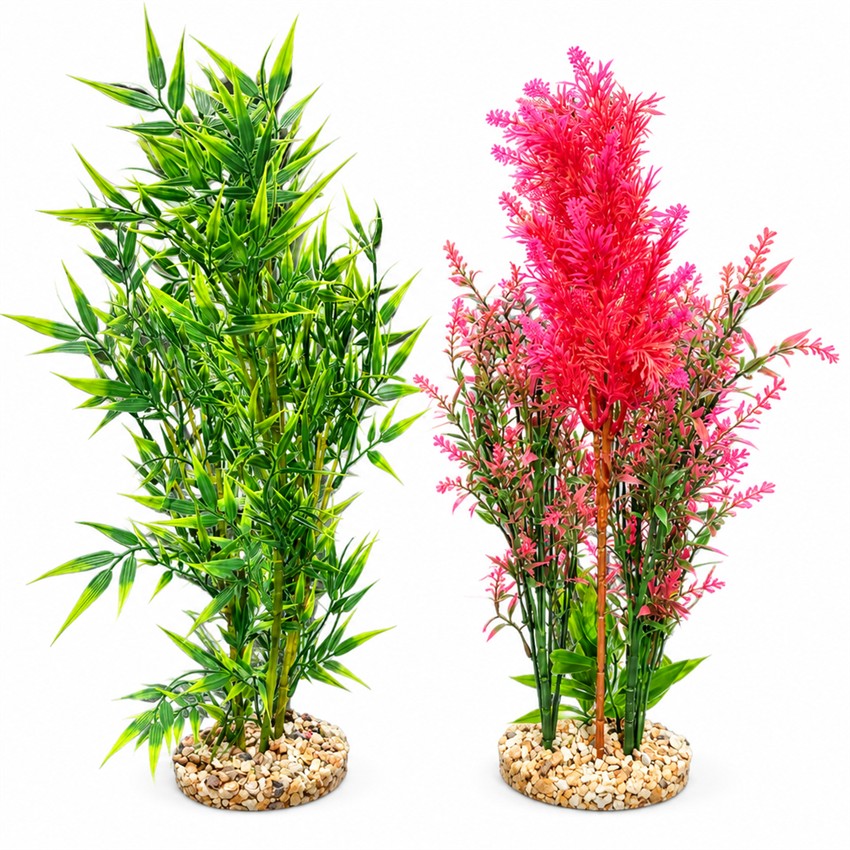Rosewood_Aquaplant_Colour_Giant_-_15672.jpg